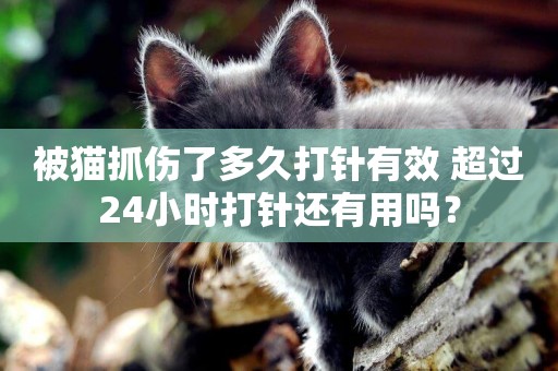 被貓抓傷了多久打針有效 超過24小時打針還有用嗎？