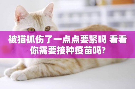 被貓抓傷了一點點要緊嗎 看看你需要接種疫苗嗎?