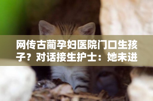 網傳古藺孕婦醫院門口生孩子？對話接生護士：她未進醫院就生了，與核酸無關 