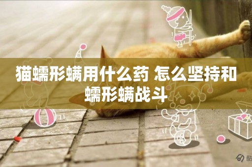 貓蠕形螨用什么藥 怎么堅持和蠕形螨戰斗