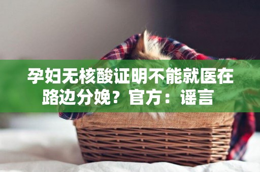 孕婦無核酸證明不能就醫在路邊分娩？官方：謠言 