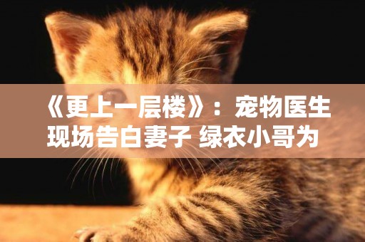 《更上一層樓》：寵物醫生現場告白妻子 綠衣小哥為愛達陣 