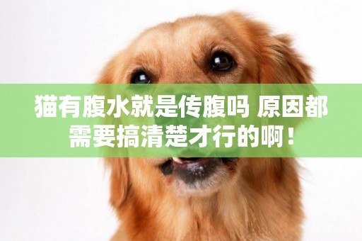 貓有腹水就是傳腹嗎 原因都需要搞清楚才行的啊！