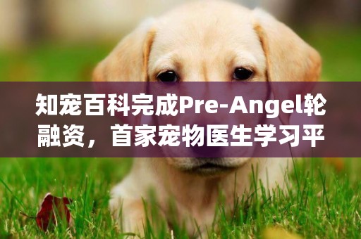 知寵百科完成Pre-Angel輪融資，首家寵物醫生學習平臺 