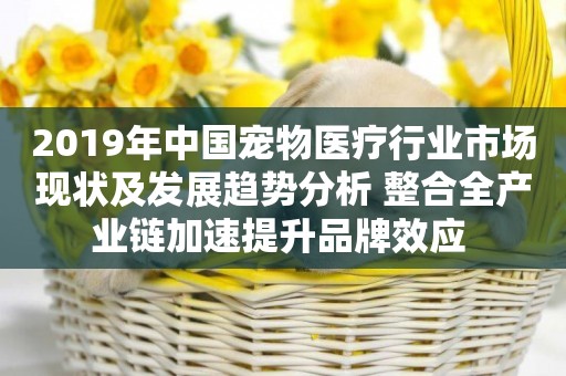 2019年中國寵物醫療行業市場現狀及發展趨勢分析 整合全產業鏈加速提升品牌效應 