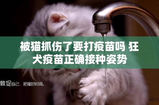 被貓抓傷了要打疫苗嗎 狂犬疫苗正確接種姿勢