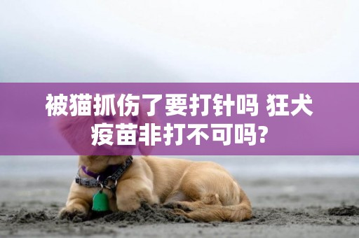 被貓抓傷了要打針嗎 狂犬疫苗非打不可嗎?