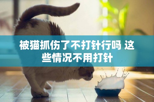 被貓抓傷了不打針行嗎 這些情況不用打針