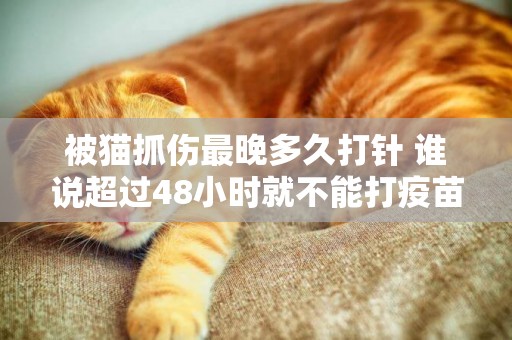被貓抓傷最晚多久打針 誰說超過48小時就不能打疫苗了
