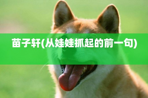 苗子軒(從娃娃抓起的前一句) 