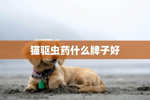 貓驅蟲藥什么牌子好