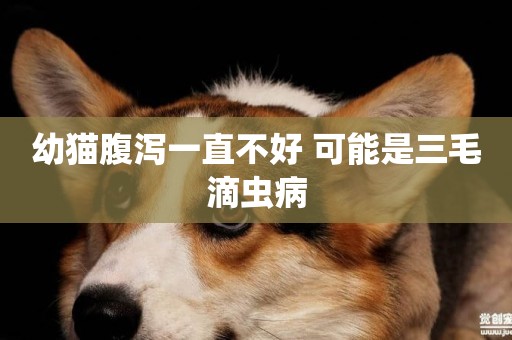 幼貓腹瀉一直不好 可能是三毛滴蟲病