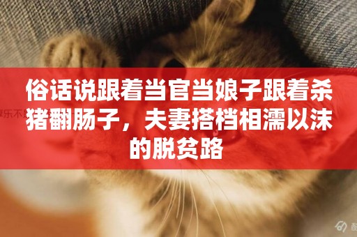 俗話說跟著當官當娘子跟著殺豬翻腸子，夫妻搭檔相濡以沫的脫貧路 