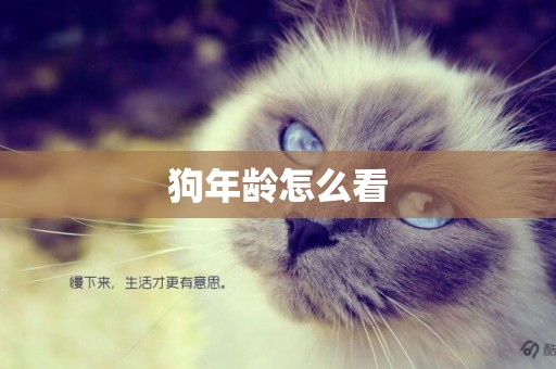 狗年齡怎么看