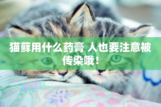 貓蘚用什么藥膏 人也要注意被傳染哦！