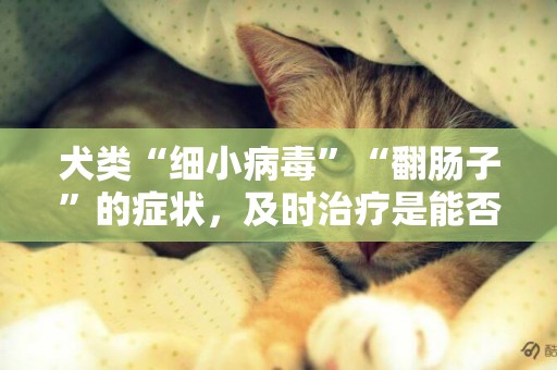 犬類“細小病毒”“翻腸子”的癥狀，及時治療是能否生存的關鍵！ 