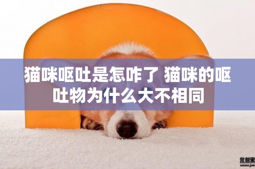 貓咪嘔吐是怎咋了 貓咪的嘔吐物為什么大不相同