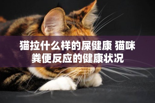 貓拉什么樣的屎健康 貓咪糞便反應的健康狀況