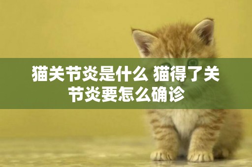 貓關節炎是什么 貓得了關節炎要怎么確診
