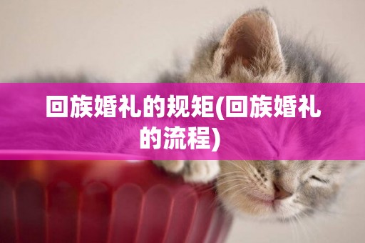 回族婚禮的規矩(回族婚禮的流程) 