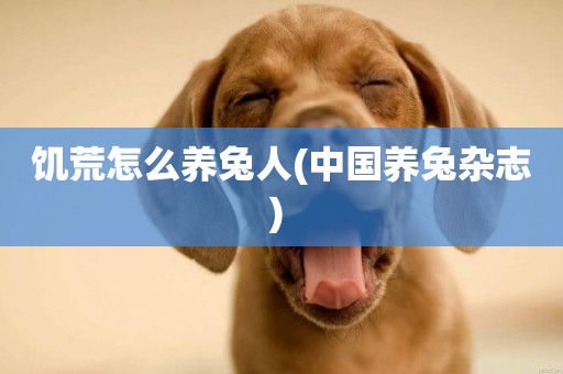 饑荒怎么養兔人(中國養兔雜志) 