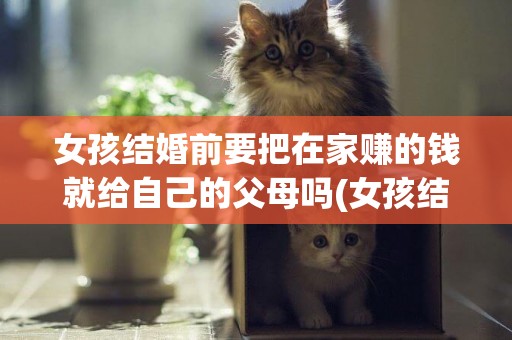 女孩結婚前要把在家賺的錢就給自己的父母嗎(女孩結婚前要房要車要彩禮有錯嗎) 