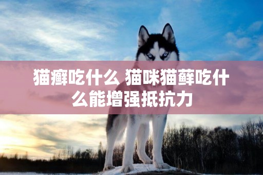 貓癬吃什么 貓咪貓蘚吃什么能增強抵抗力
