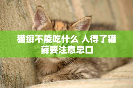 貓癬不能吃什么 人得了貓蘚要注意忌口