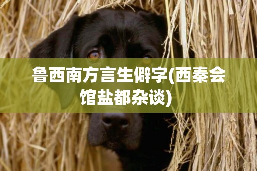 魯西南方言生僻字(西秦會館鹽都雜談) 
