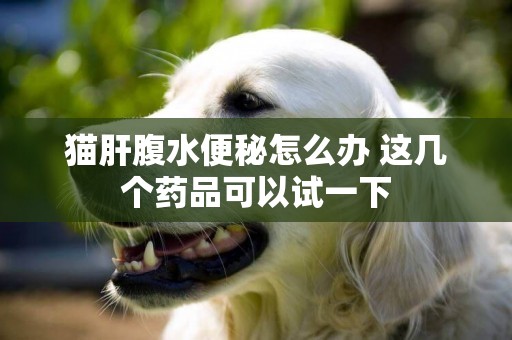 貓肝腹水便秘怎么辦 這幾個藥品可以試一下