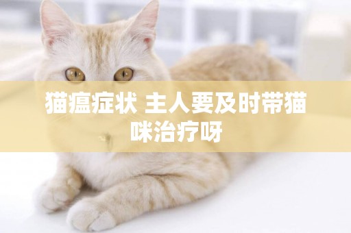 貓瘟癥狀 主人要及時帶貓咪治療呀