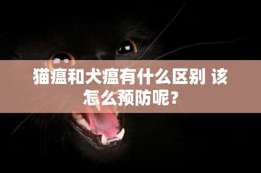 貓瘟和犬瘟有什么區別 該怎么預防呢？