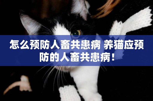 怎么預防人畜共患病 養貓應預防的人畜共患病！