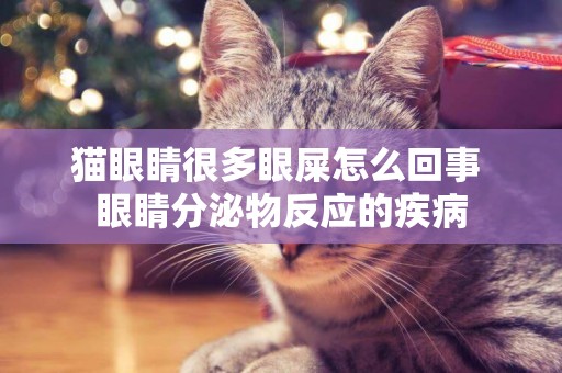 貓眼睛很多眼屎怎么回事 眼睛分泌物反應的疾病