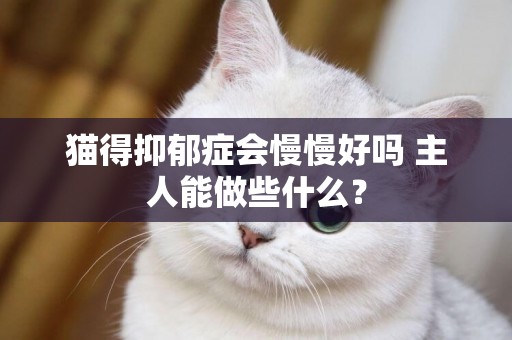 貓得抑郁癥會慢慢好嗎 主人能做些什么？