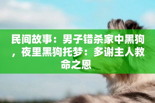 民間故事：男子錯殺家中黑狗，夜里黑狗托夢：多謝主人救命之恩 