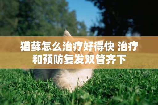 貓蘚怎么治療好得快 治療和預防復發雙管齊下
