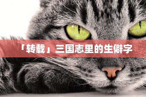 「轉載」三國志里的生僻字 