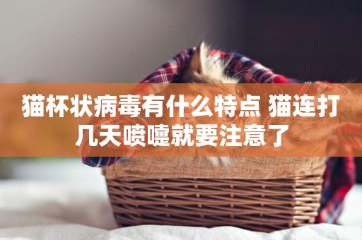 貓杯狀病毒有什么特點 貓連打幾天噴嚏就要注意了 貓杯狀病毒有什么特點 貓連打幾天噴嚏就要注意了