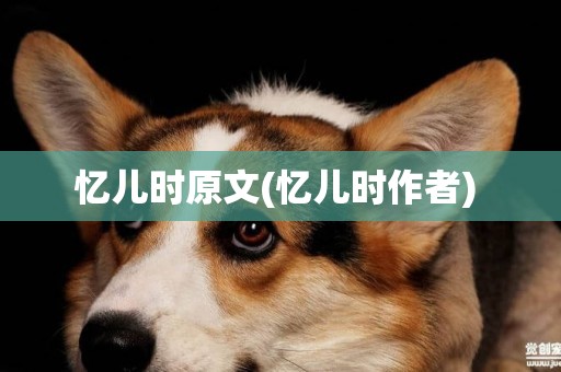 憶兒時原文(憶兒時作者) 