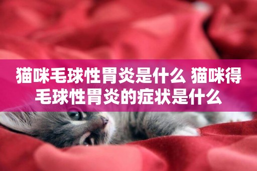 貓咪毛球性胃炎是什么 貓咪得毛球性胃炎的癥狀是什么