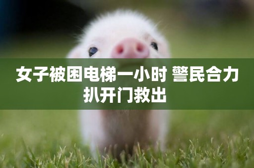 女子被困電梯一小時 警民合力扒開門救出 