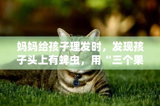 媽媽給孩子理發時，發現孩子頭上有蜱蟲，用“三個果斷”救了孩子 