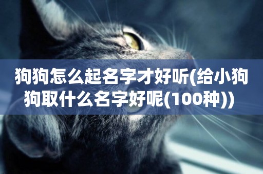 狗狗怎么起名字才好聽(給小狗狗取什么名字好呢(100種)) 