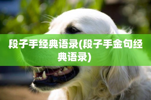 段子手經典語錄(段子手金句經典語錄) 