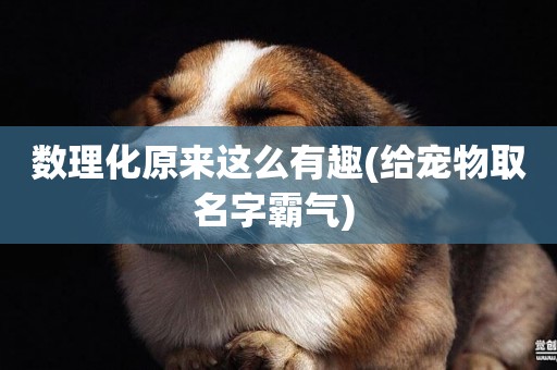 數理化原來這么有趣(給寵物取名字霸氣) 