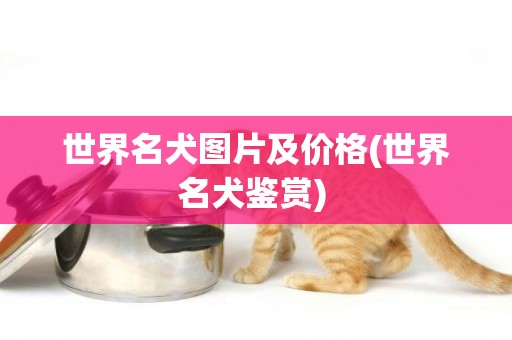 世界名犬圖片及價格(世界名犬鑒賞) 