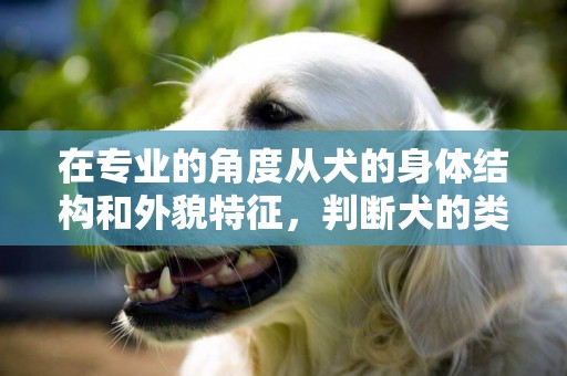 在專業的角度從犬的身體結構和外貌特征，判斷犬的類型 