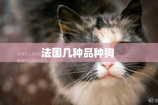 法國幾種品種狗 