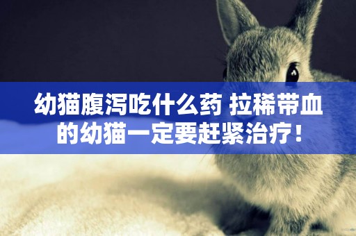 幼貓腹瀉吃什么藥 拉稀帶血的幼貓一定要趕緊治療！